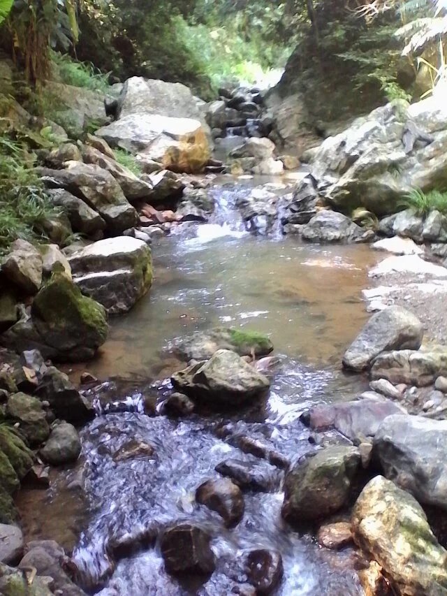 JOJO的奇妙冒险_JOJO的奇妙冒险常见误解_JOJO角色设定错误理解